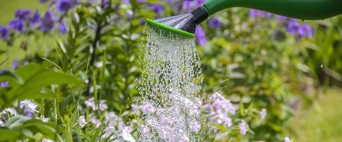 linea-verde-garden-center